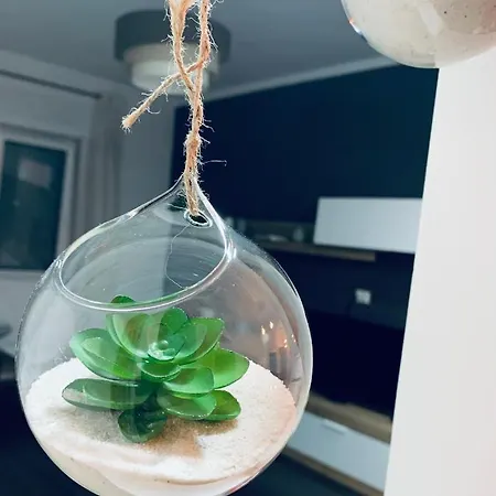 Appartement A Casa Con....te! Napels